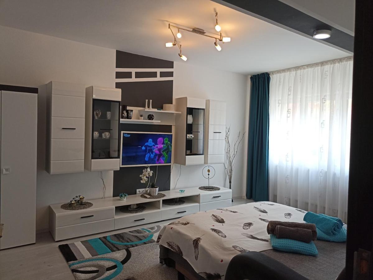 Apartament Sofy2 Băile Herculane Exterior foto