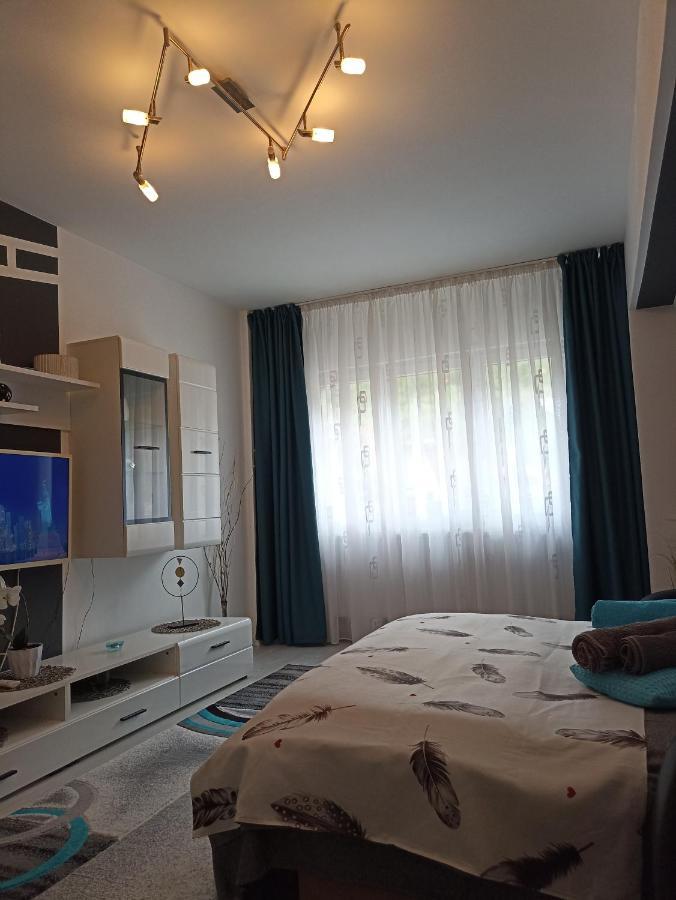 Apartament Sofy2 Băile Herculane Exterior foto