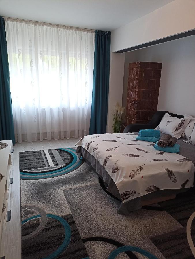 Apartament Sofy2 Băile Herculane Exterior foto