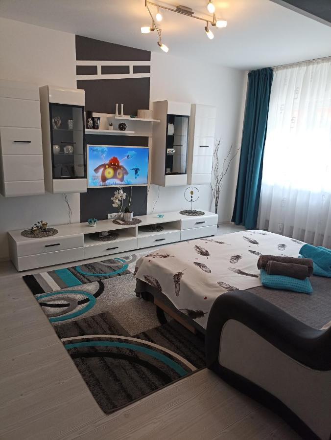 Apartament Sofy2 Băile Herculane Exterior foto